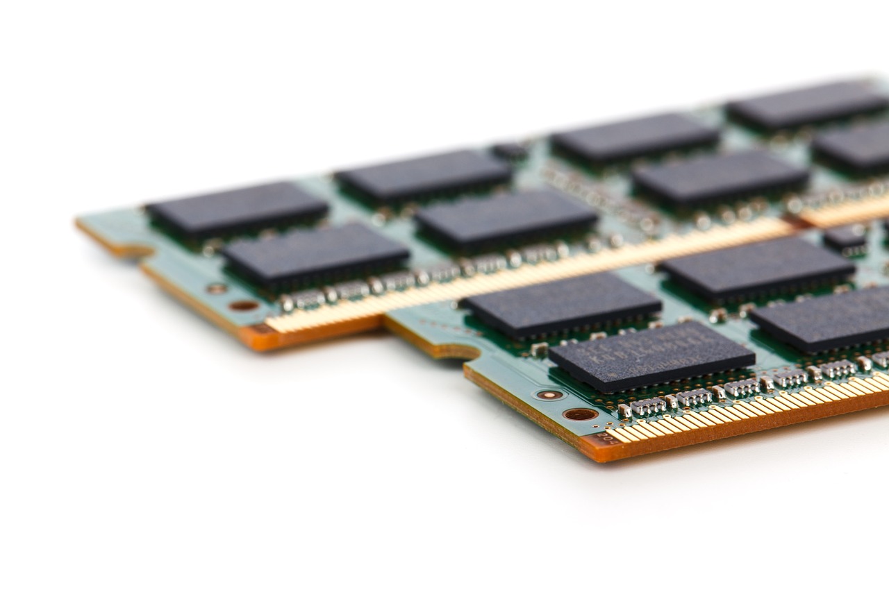 ram chips on a white background